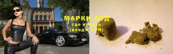 spice Аркадак