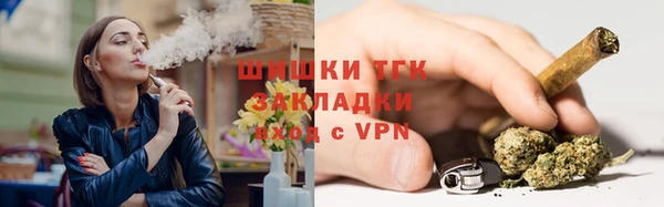 spice Аркадак