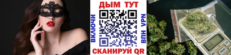 сколько стоит  Асбест  Каннабис SATIVA & INDICA 